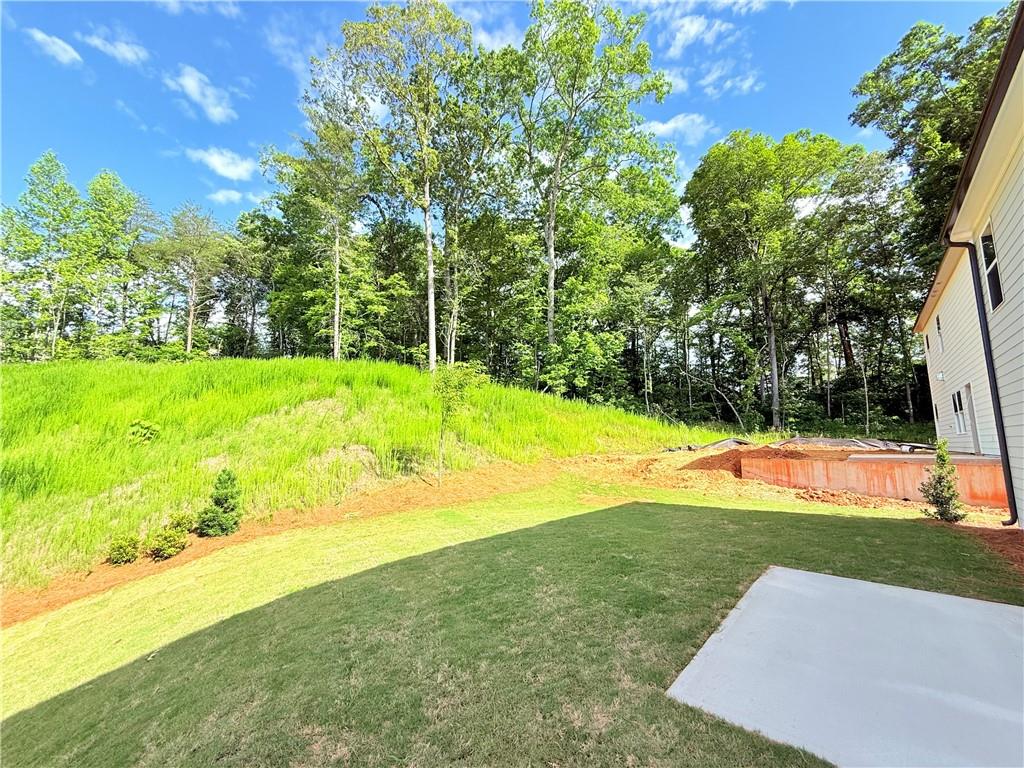 101 Mayfair Street, Dawsonville, Georgia image 38