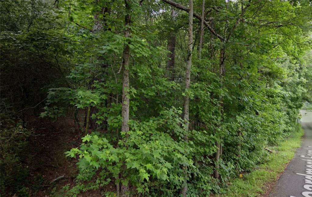 Heardmont Farms Lane, Cumming, Georgia image 4