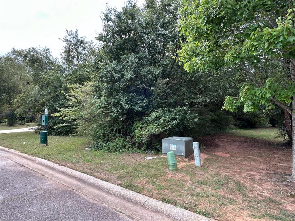 East Shoreview Road, Mcdonough, Georgia image 3