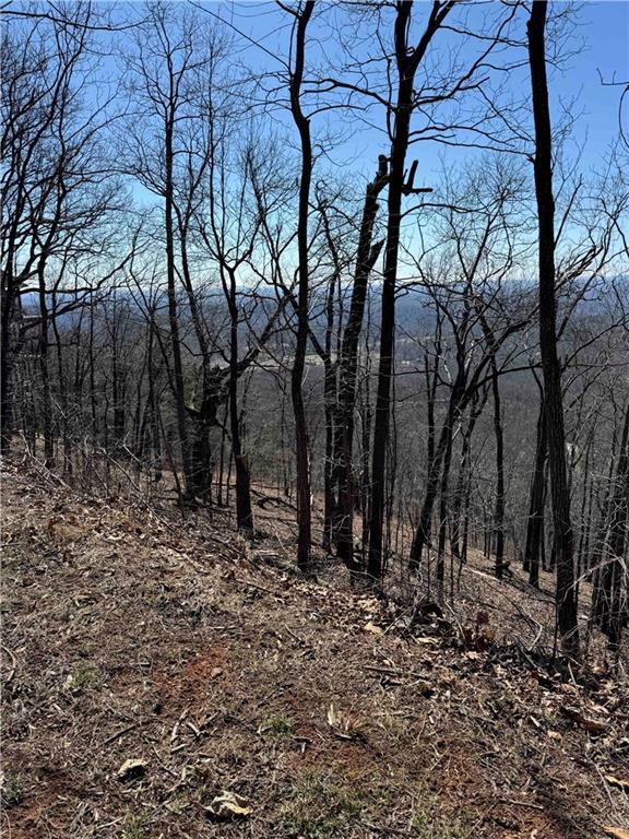 7349 Starlight Lane, Big Canoe, Georgia image 12