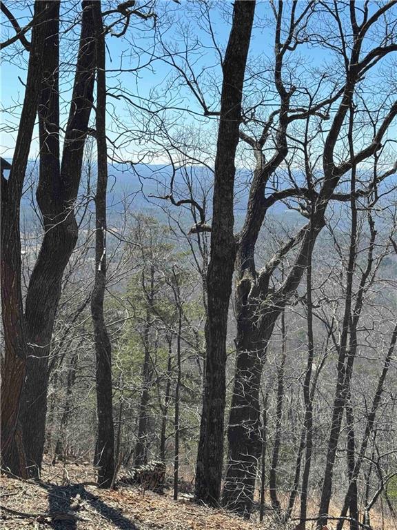 7349 Starlight Lane, Big Canoe, Georgia image 4