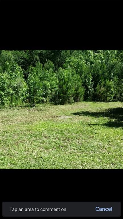 Vacant Land For Sale - 221 Turtle Drive<br/> Bryan County, Richmond Hill, GA 31324