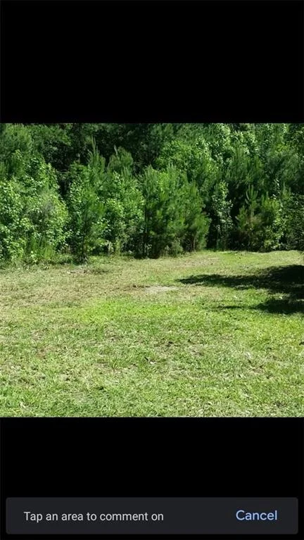 221 Turtle Drive, Richmond Hill, GA, 31324
