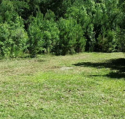 Slider Thumb