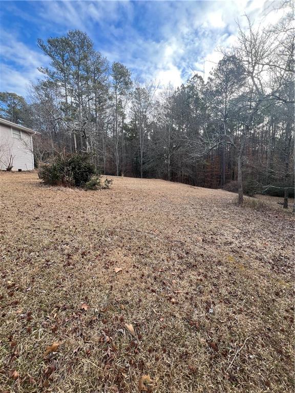 6540 Old White Mill Road Road, Fairburn, Georgia image 6