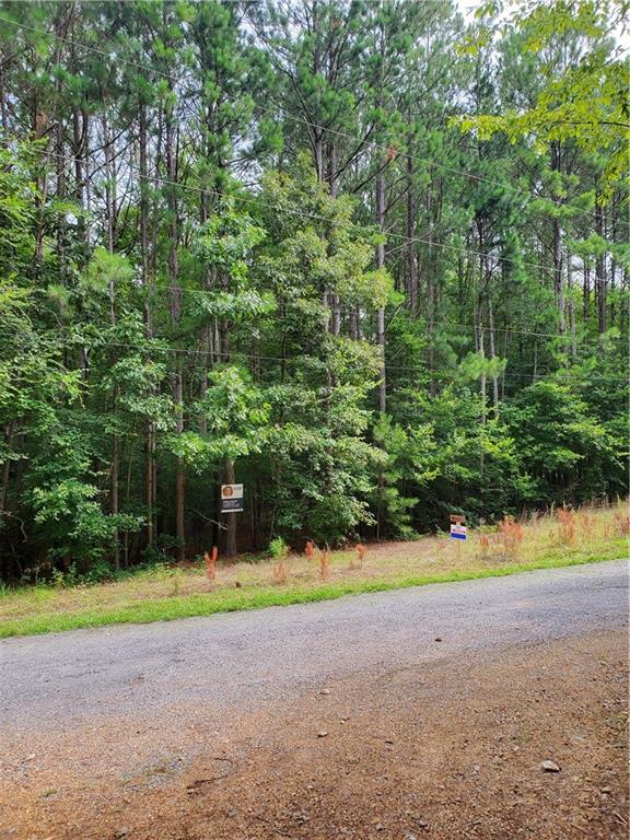 LL247 Grizzle Road, Dawsonville, Georgia image 1