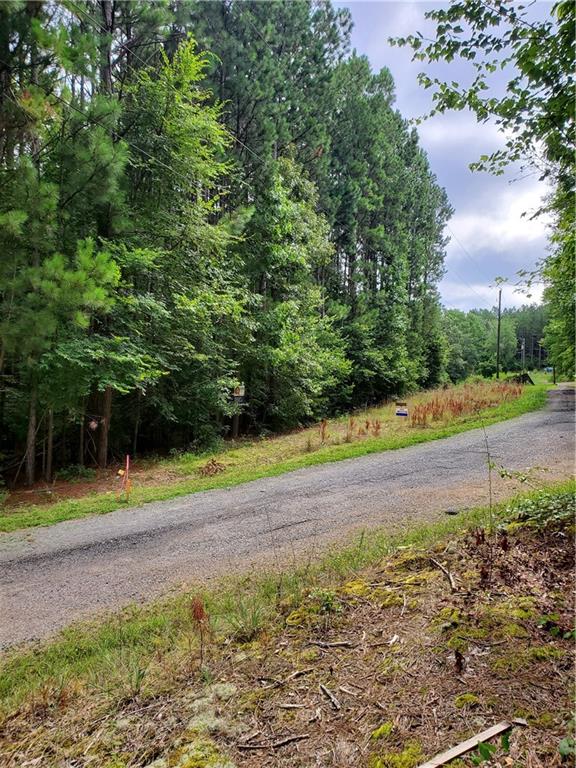 LL247 Grizzle Road, Dawsonville, Georgia image 2