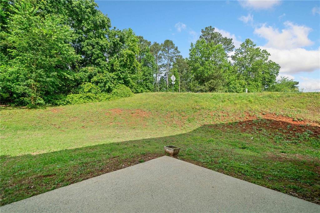 4405 Feather Way, Douglasville, Georgia image 39