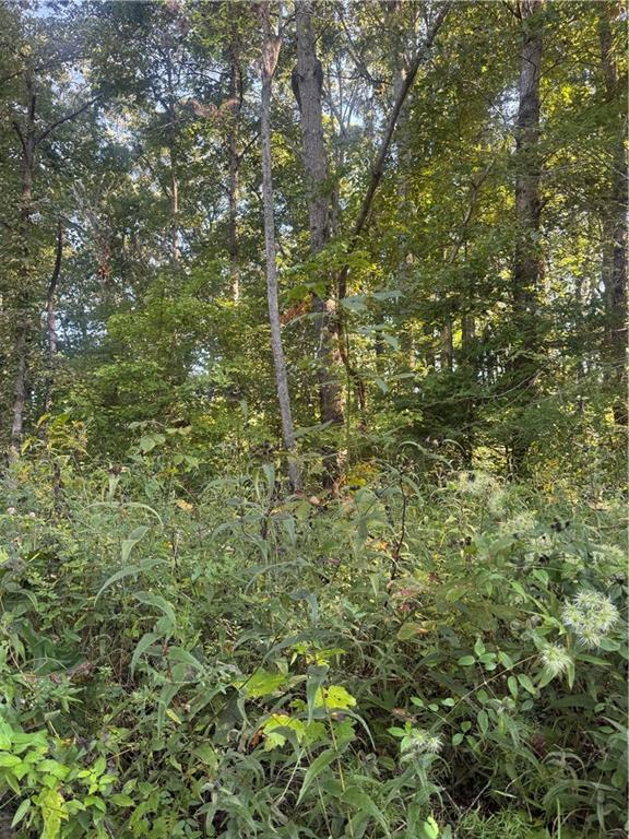 Lot 3 Roberts Ridge Road