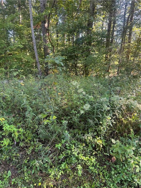 Lot 3 Roberts Ridge Road