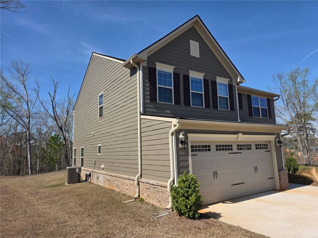 1029 climbing rose way