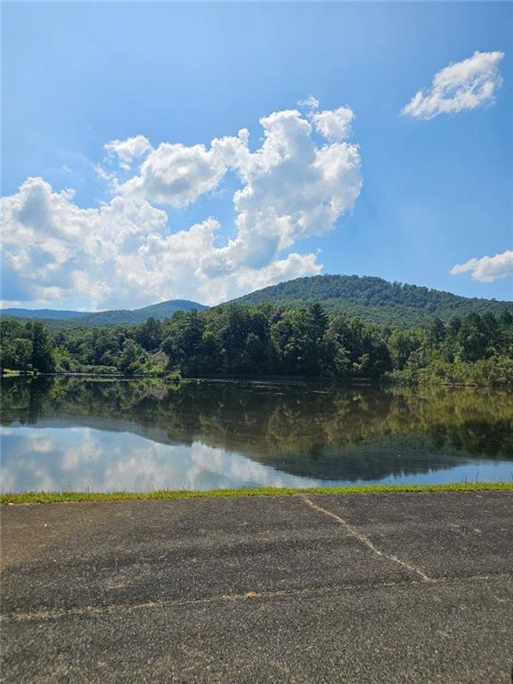 LT272 Andes Ridge, Ellijay, Georgia image 33