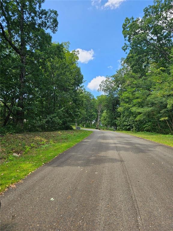 LT272 Andes Ridge, Ellijay, Georgia image 22