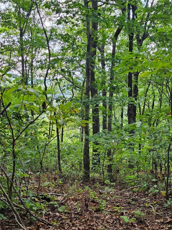 LT272 Andes Ridge, Ellijay, Georgia image 3