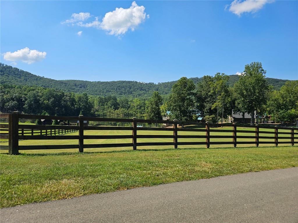 LT272 Andes Ridge, Ellijay, Georgia image 31