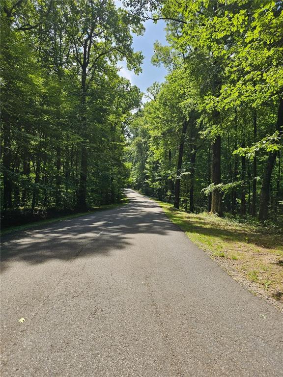 LT272 Andes Ridge, Ellijay, Georgia image 36