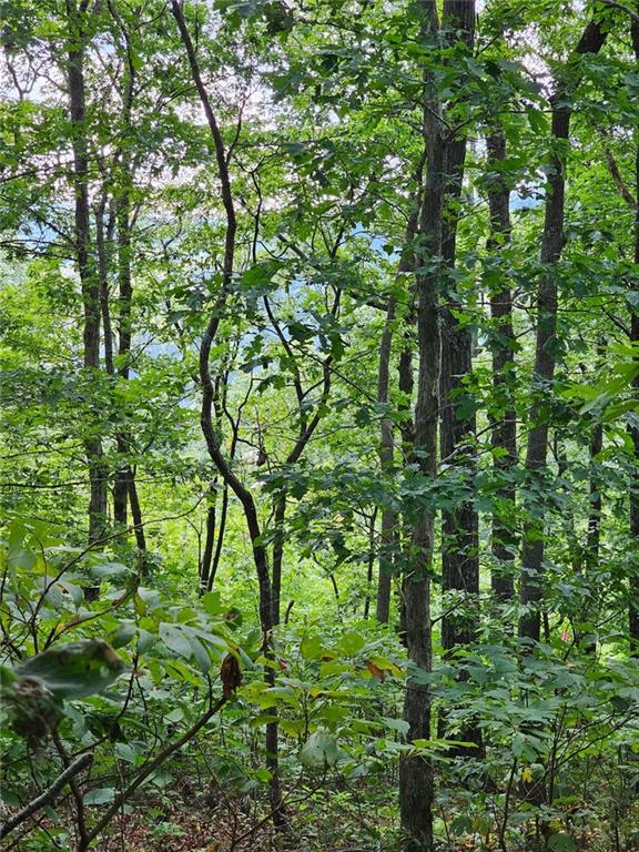 LT272 Andes Ridge, Ellijay, Georgia image 11