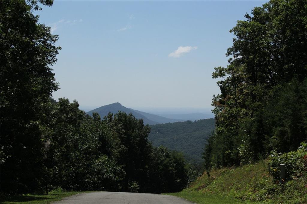 LT272 Andes Ridge, Ellijay, Georgia image 26