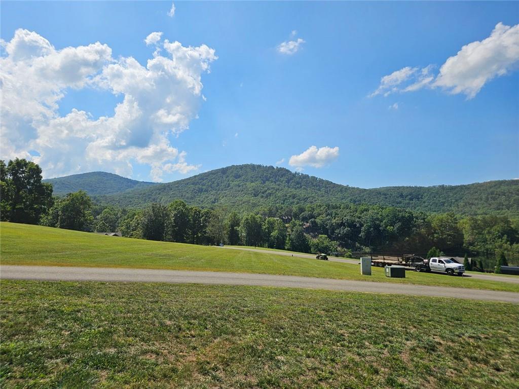 LT272 Andes Ridge, Ellijay, Georgia image 30