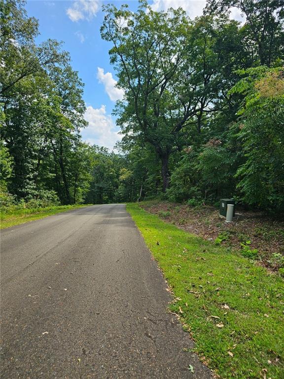 LT272 Andes Ridge, Ellijay, Georgia image 21