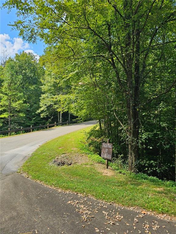 LT272 Andes Ridge, Ellijay, Georgia image 38