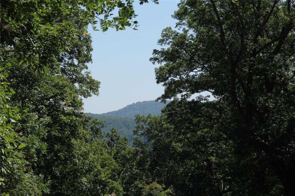 LT272 Andes Ridge, Ellijay, Georgia image 24