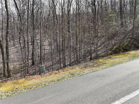 Vacant Land For Sale - 65 St Andrews Way<br/> Ellijay, GA 30536