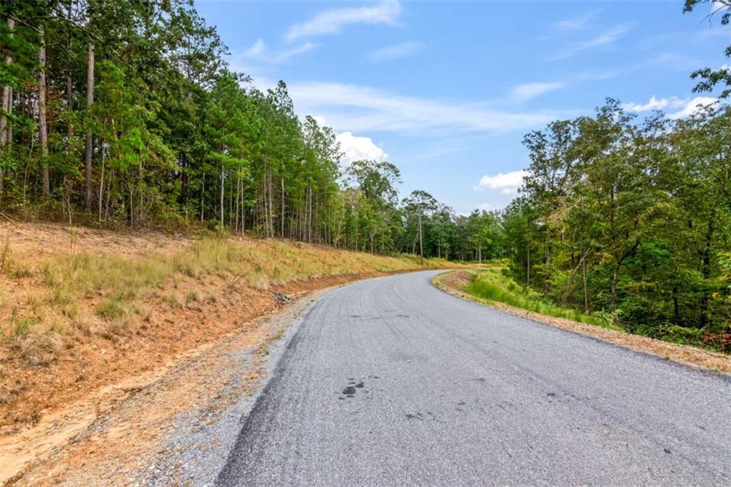 LT 92 Blalock Mountain Rd, Talking Rock, Georgia image 15