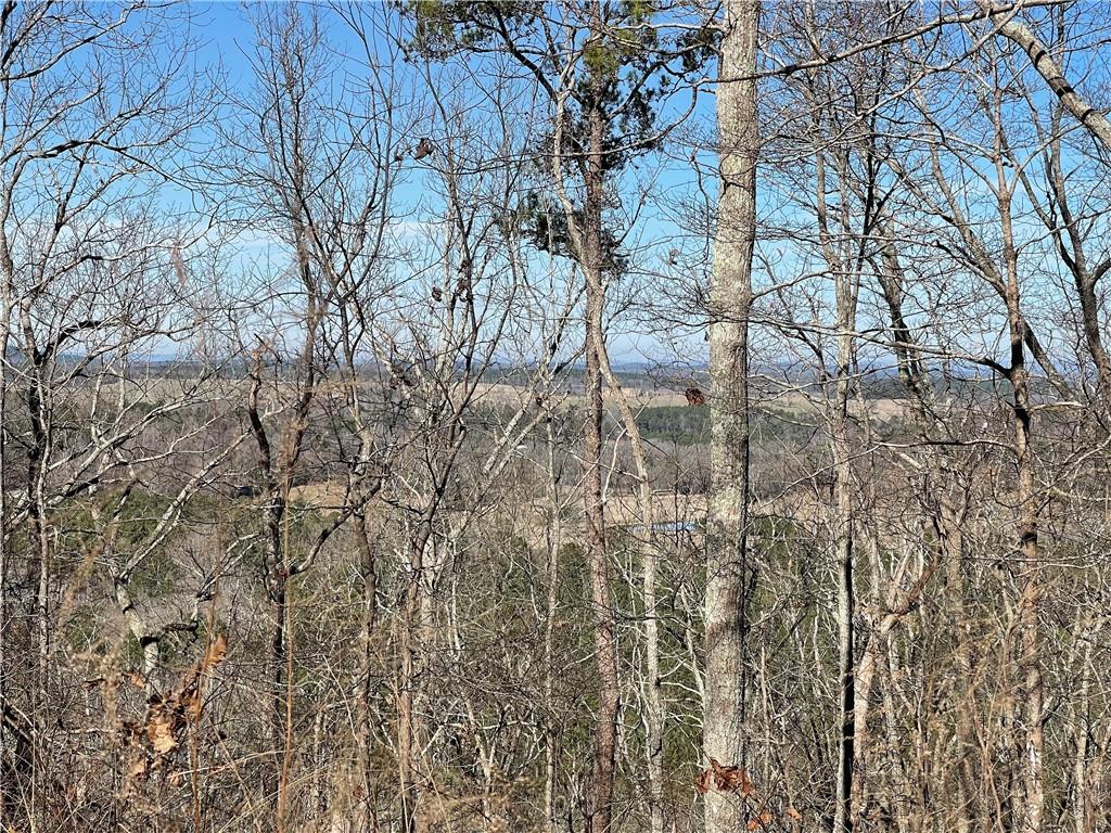 0A Johnson Lake Road #0A