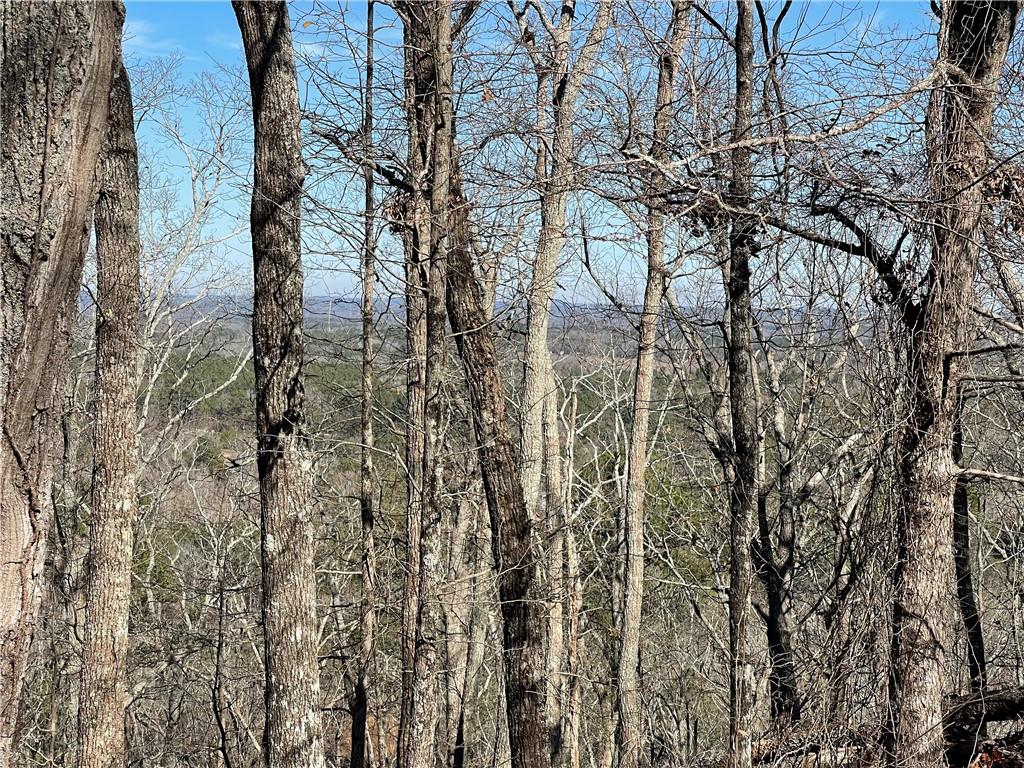 0A Johnson Lake Road #0A