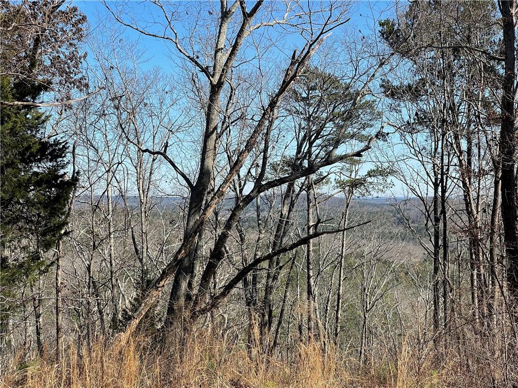0A Johnson Lake Road #0A