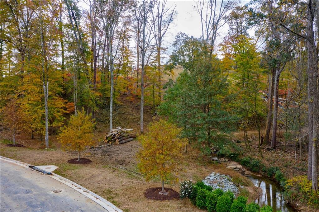 4397 Brookview Drive, Atlanta, Georgia image 7