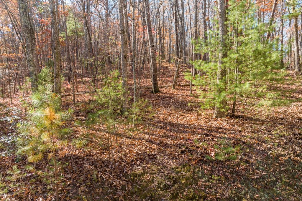 LOT 7 Joseph Anderson Trail, Ellijay, Georgia image 4