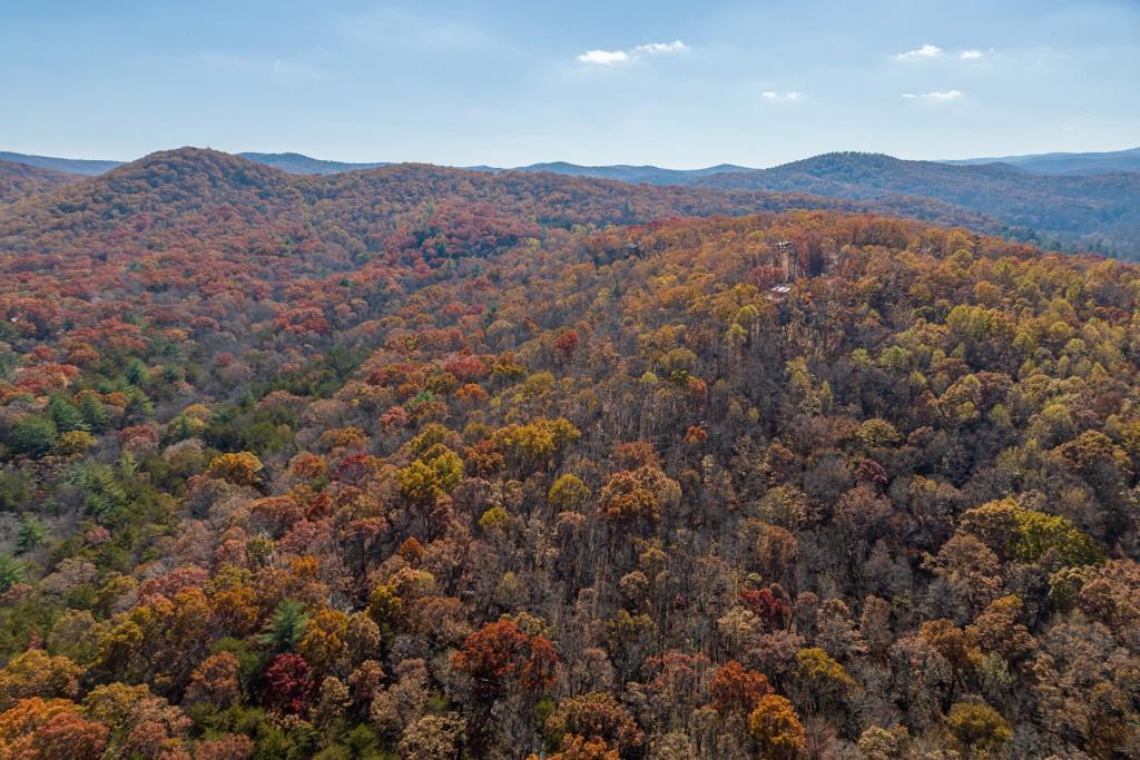 LOT 7 Joseph Anderson Trail, Ellijay, Georgia image 10