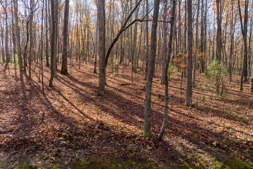 LOT 7 Joseph Anderson Trail, Ellijay, Georgia image 7