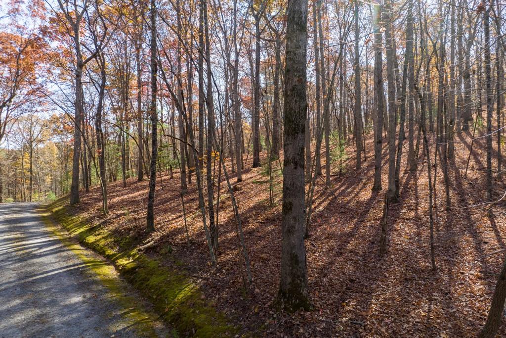 LOT 7 Joseph Anderson Trail, Ellijay, Georgia image 15