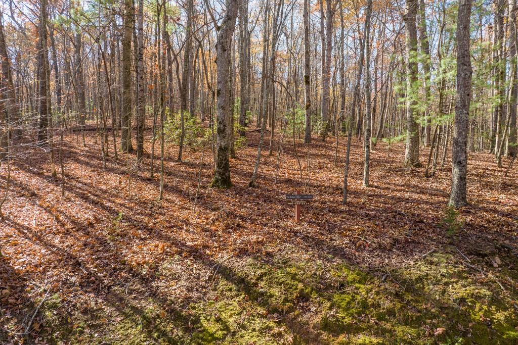 LOT 7 Joseph Anderson Trail, Ellijay, Georgia image 6