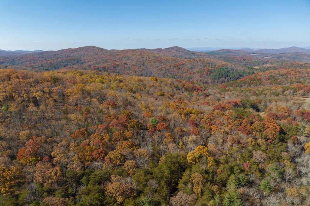 LOT 7 Joseph Anderson Trail, Ellijay, Georgia image 13