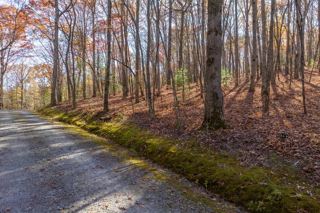 LOT 7 Joseph Anderson Trail, Ellijay, Georgia image 8