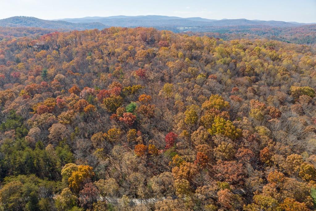 LOT 7 Joseph Anderson Trail, Ellijay, Georgia image 12