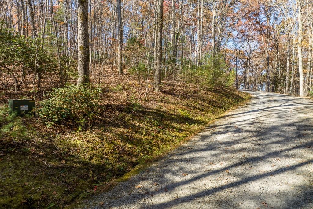 LOT 7 Joseph Anderson Trail, Ellijay, Georgia image 2