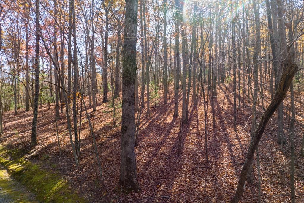 LOT 7 Joseph Anderson Trail, Ellijay, Georgia image 14