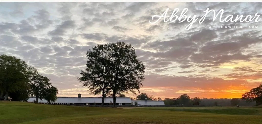 Greenville, Georgia 30222, United States, 6 Bedrooms Bedrooms, ,6 BathroomsBathrooms,Residential,Active,61820