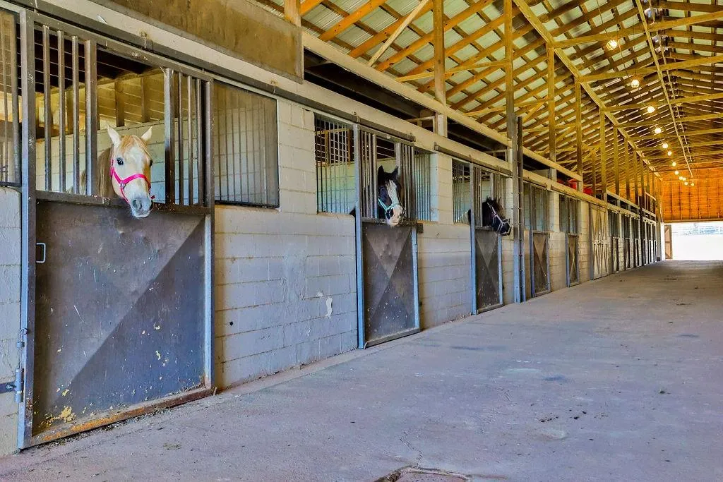 Greenville, Georgia 30222, United States, 6 Bedrooms Bedrooms, ,6 BathroomsBathrooms,Residential,Active,61820