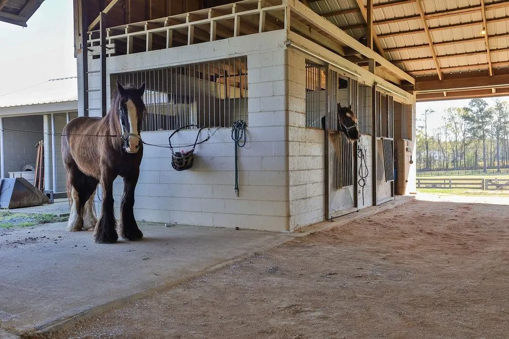 Greenville, Georgia 30222, United States, 6 Bedrooms Bedrooms, ,6 BathroomsBathrooms,Residential,Active,61820