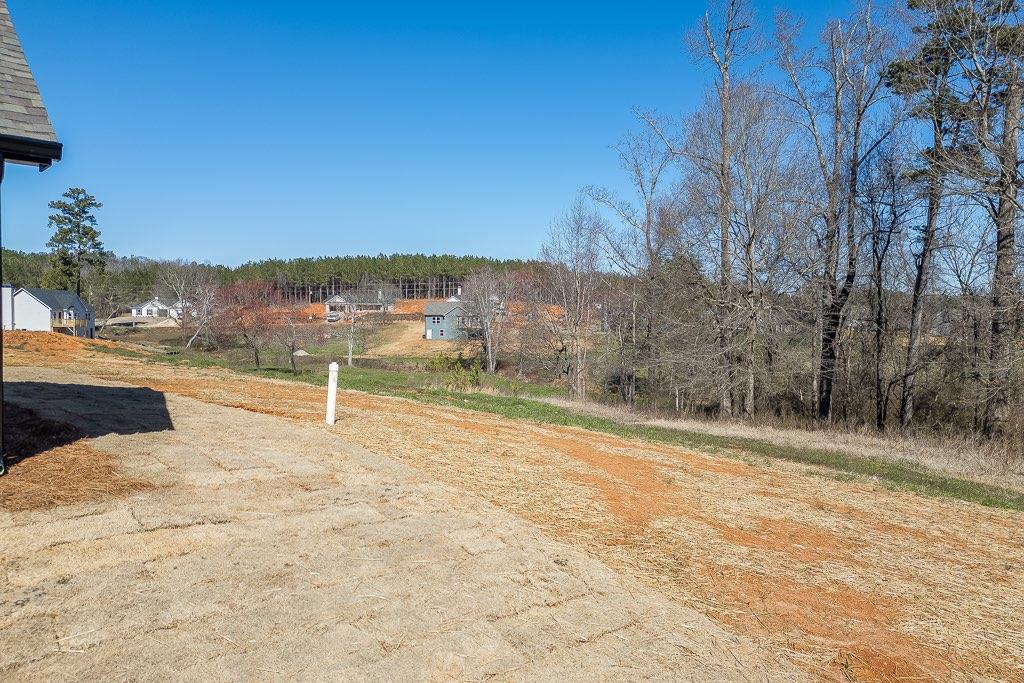 79 Webb Road, Martin, Georgia image 35