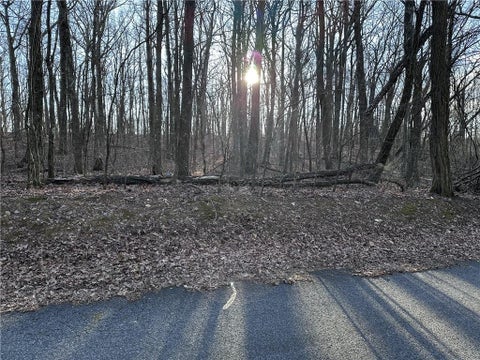 Vacant Land For Sale - 183 St Andrews Way<br/> Ellijay, GA 30536