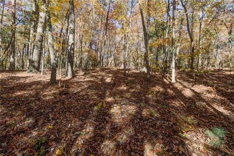 Vacant Land For Sale - 00 Elliott Family Parkway<br/> Dawsonville, GA 30534