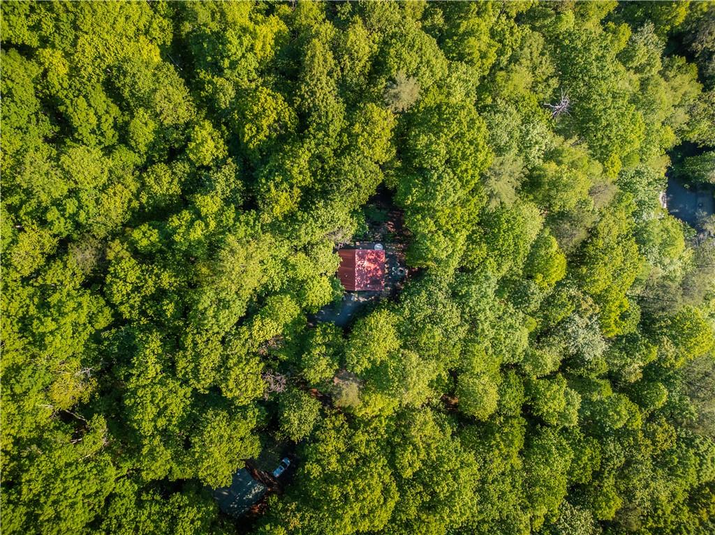 90 Holloway Circle, Blue Ridge, Georgia image 27