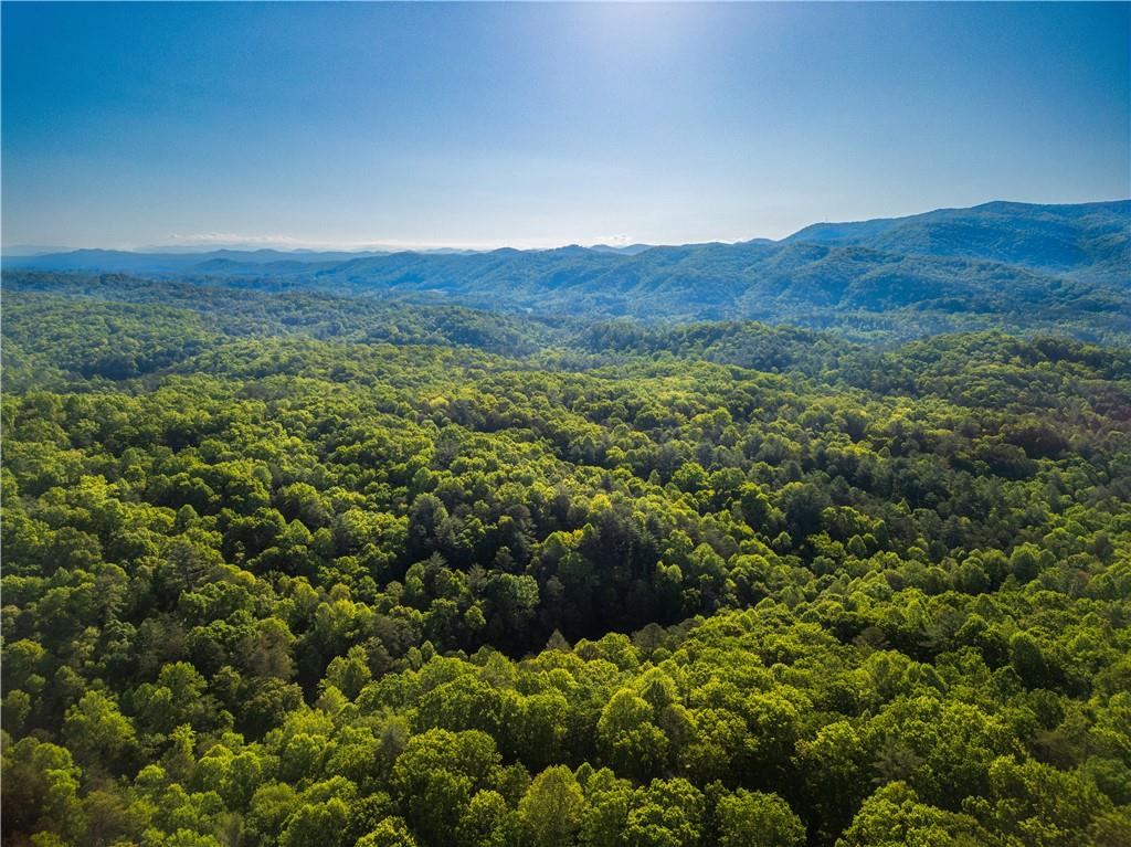 90 Holloway Circle, Blue Ridge, Georgia image 4